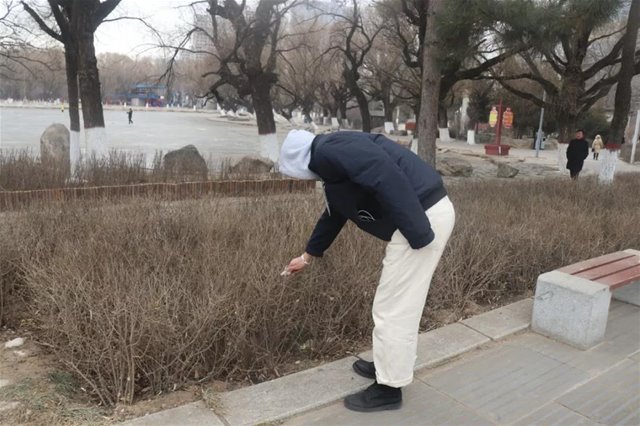 老虎机