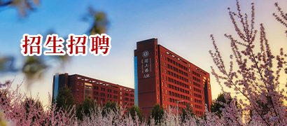 老虎机